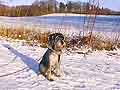 Monty 3